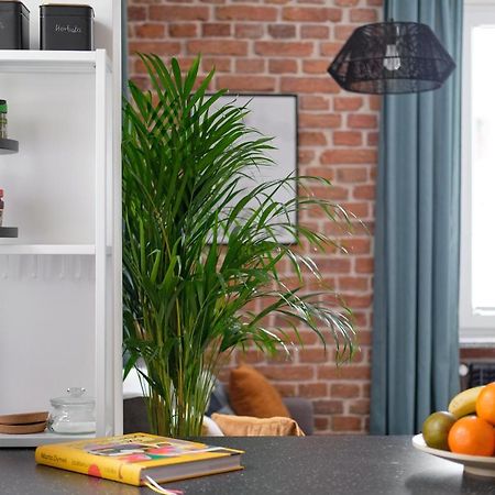 Mikroklimatyczny Apartament Dla 4 Osob - Blisko Szlakow, W Centrum Szklarska Poreba Extérieur photo